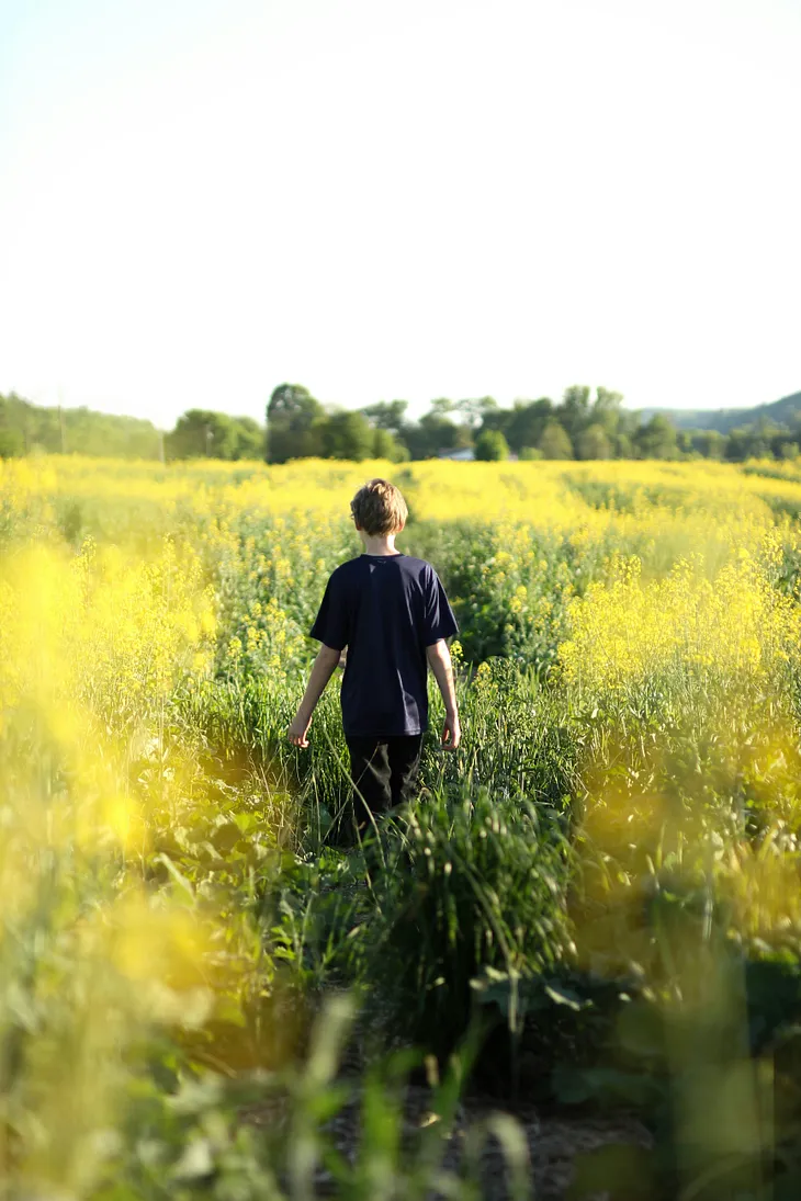 Young boy walking through a field of yellow flowers