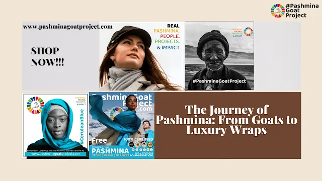 The Journey of Pashmina: From Goats to Luxury Wraps