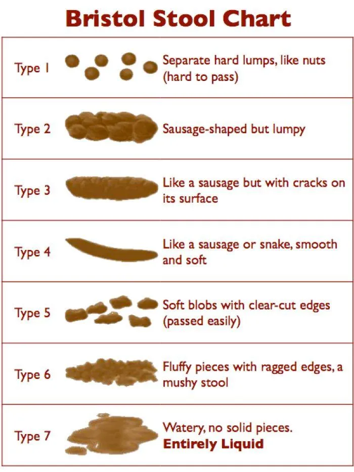 What Your Stool Can Reveal About Your Health