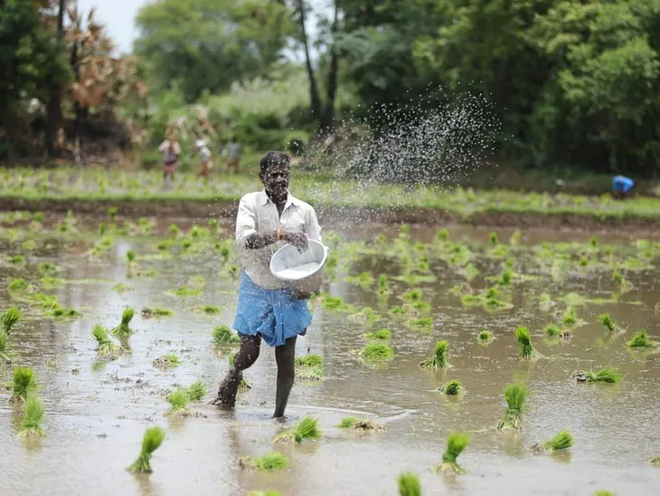 Resisting US-India Agri-Imperialism by Alex Jensen