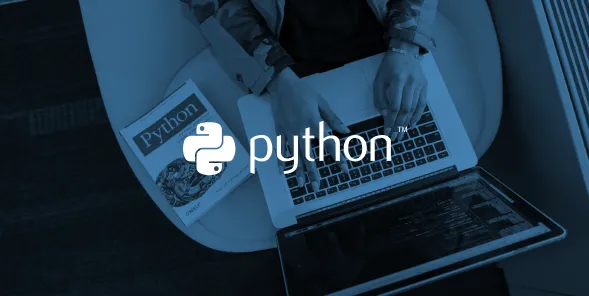Why You Should Hire Python Developers for Your Next Project
