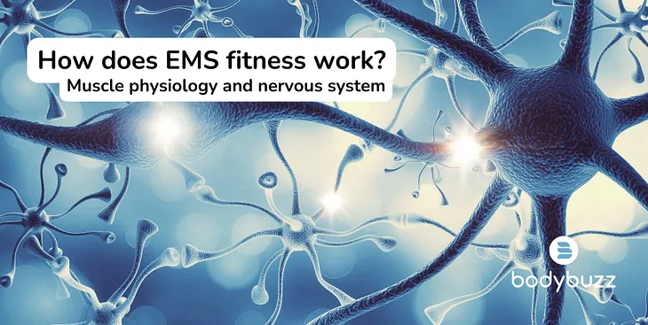 How does EMS Fitness work? — Bodybuzz EMS Workout