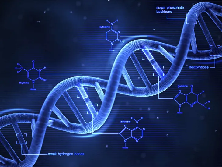 What is DNA ?