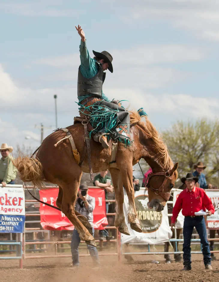 A cowboy on a saddle bronc in a rodeo.