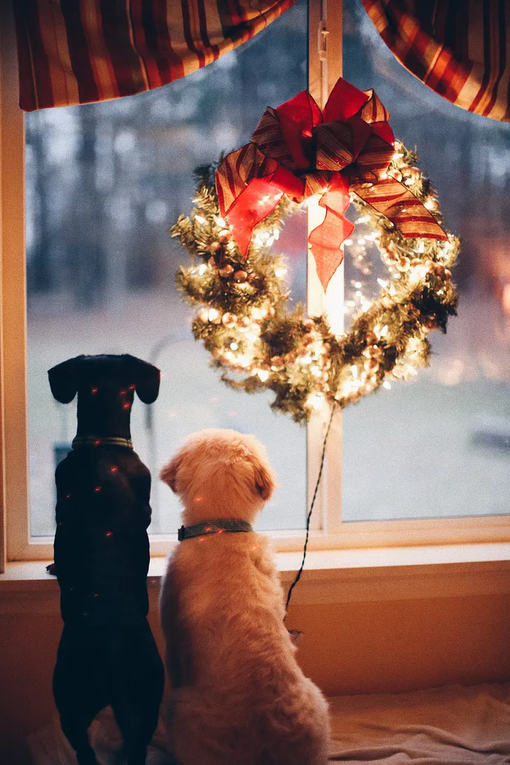 Two dogs looking out a window with a lit up wreath, waiting for their deployed or first responder person to come home.