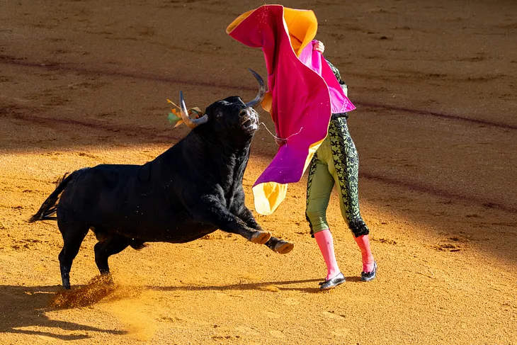 Pamplona Bullfights: Does Culture Justify Cruelty?