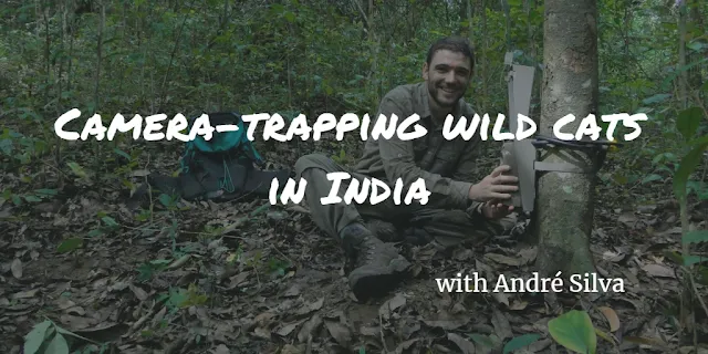 Where are the cats? Camera-trapping in Northeast India with André Silva