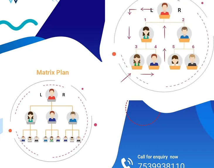 Comparison of the MLM Matrix Plan and the MLM Board Plan