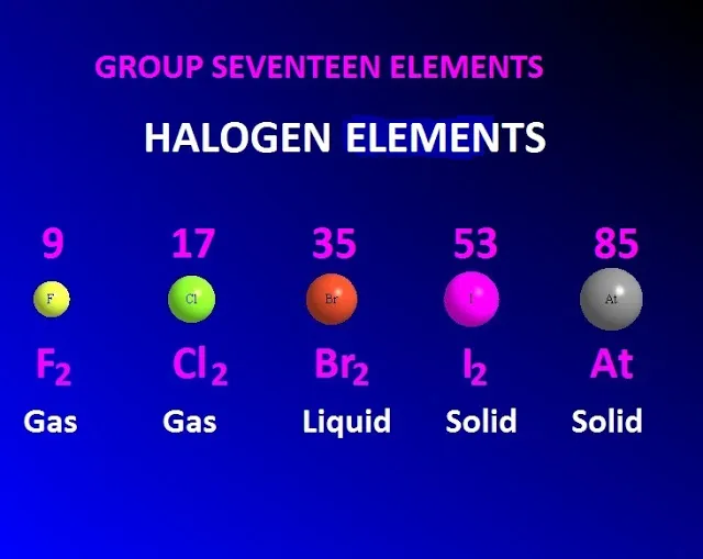 Halogen elements-definition-properties-reactivity and uses.