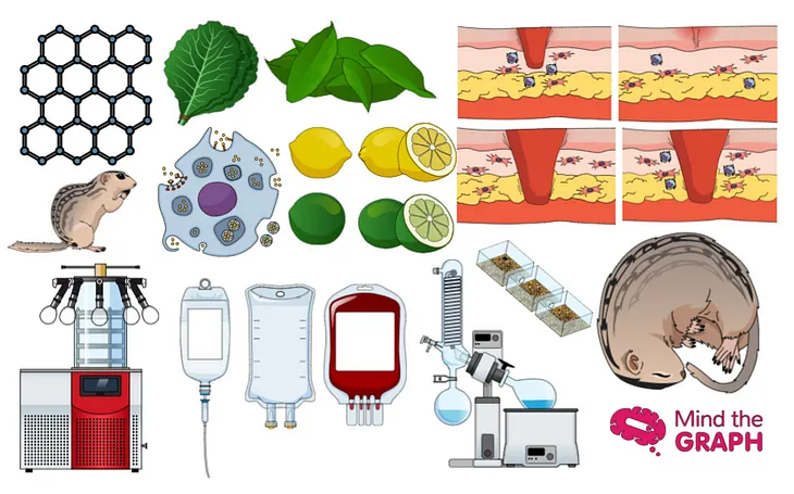 #32 The best of scientific illustrations