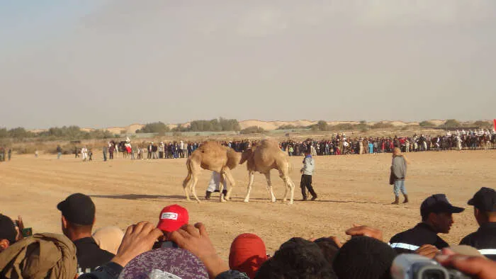 10 Popular Festivals In Turkey That Make It An Irresistible Holiday Destination!