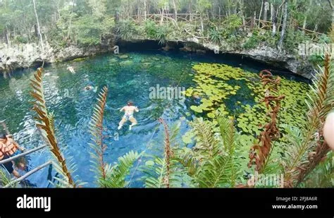 Best Snorkeling in the Yucatan: Top Spots to Explore