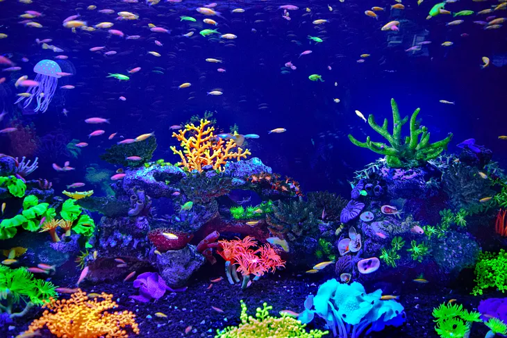 Like some huge jellyfish tank with artificial or glow-in-the-dark coral reef plants in various neon colors in dark blue waters.