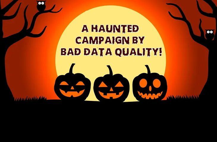 A Haunted Campaign by Bad Data Quality