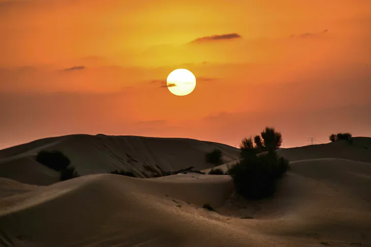 A picture of a desert in twilight. Sandy dunes with a few sparse bushes. The sun is setting and colours the sky orange.