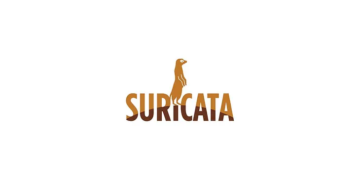 DEVELOPING SURICATA RULES FOR DETECTIING NMAP SCANS