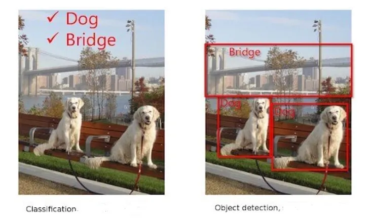 Understanding Object detection with YOLO