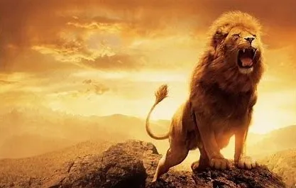 Why Lion Is Called King of Jungle ?