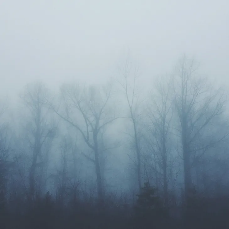 An incredibly foggy image with the silhouette of leafless trees barely visible.