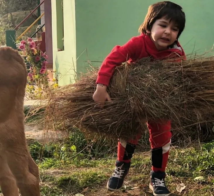 Wishes pour in from celebs as Taimur turns 4