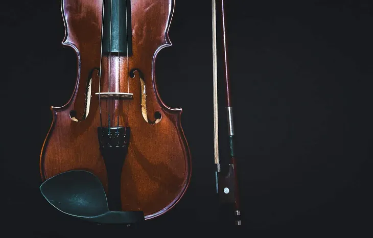 The Top 10 Best Violins On Amazon