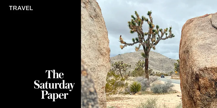 Big Puffer Jacket Energy : Joshua Tree