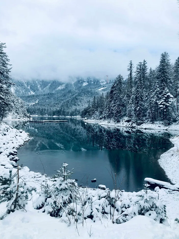 An ice-cold, unfrozen lake surrounded by blisters of a snowy forest and misty sky
