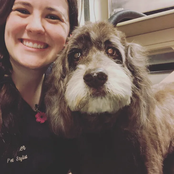 Pawsh Case Study With Amber — Dog Groomer