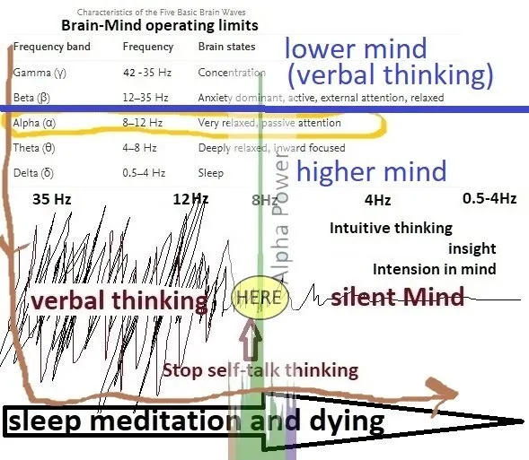 Why Meditation?