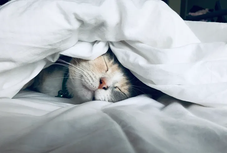 How not getting enough sleep is killing you?