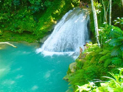 Review Top 5 Hiking Trails in Ocho Rios Recommended