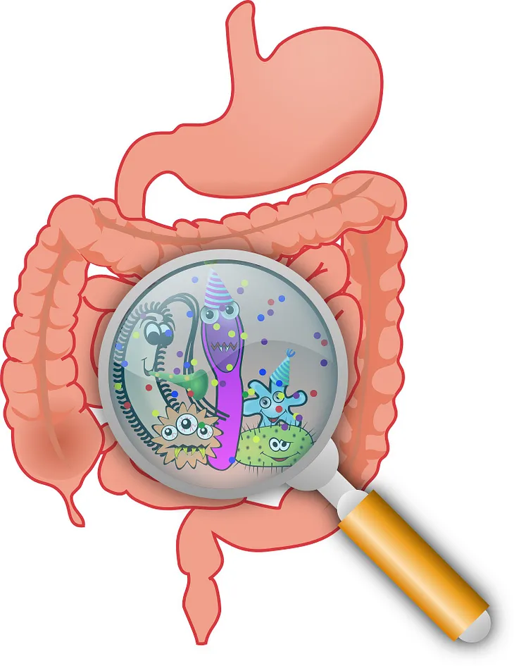 Gut Microbiome and its impact on overall health