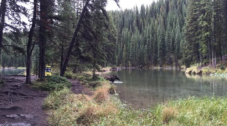 Jasper National Park, Alberta Canada September 2016