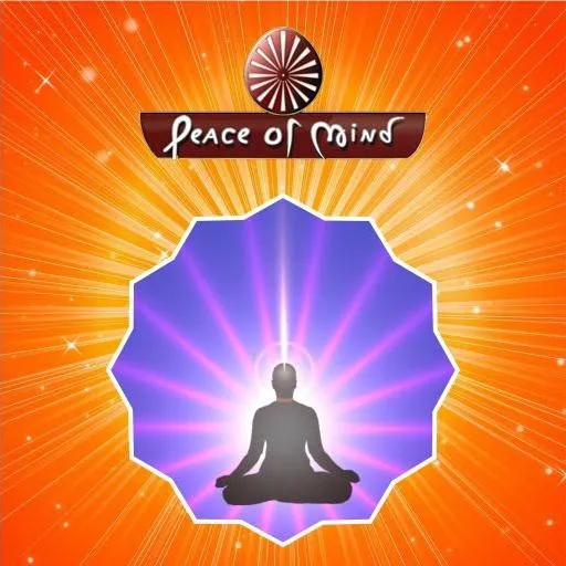 Peace of Mind: Can this be achieved by making the Mind still?