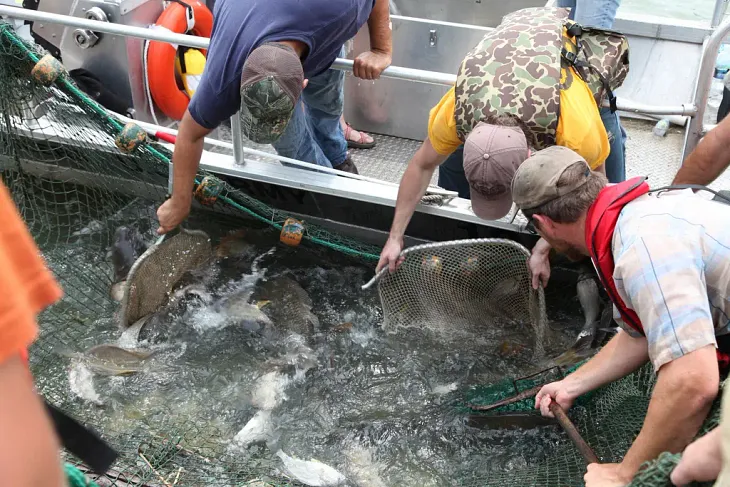 Great Lakes Gets Major Defense Against Invasive Carp