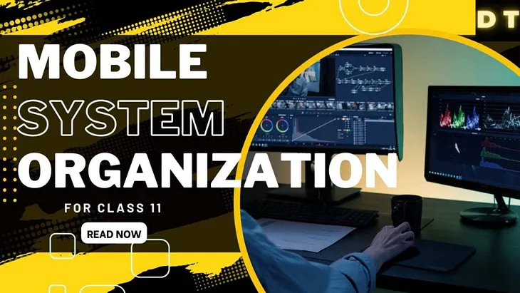 Mobile System Organization Class 11