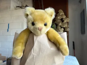 Yellow bear goes for a walk