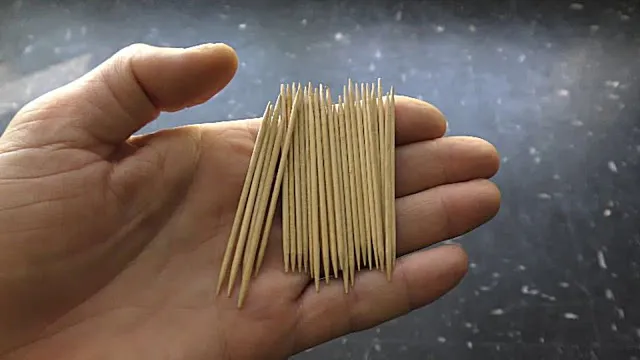 Driftwood Toothpicks for Aquarium DIY