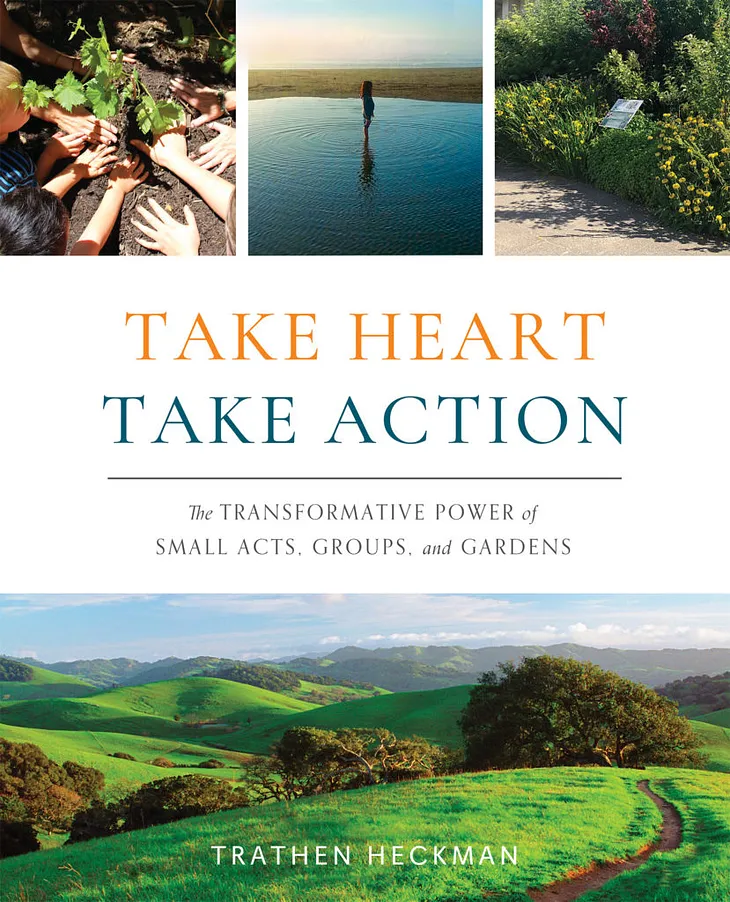 Take Heart Take Action: Deepening into Self and Community