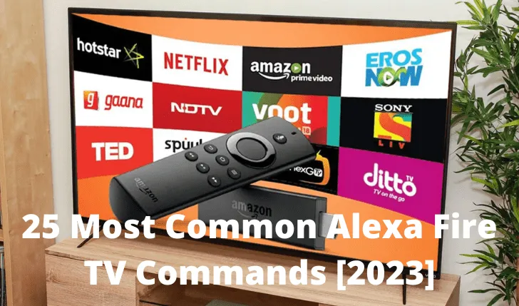 25 Most Common Alexa Fire TV Commands [2023] — Smarterve