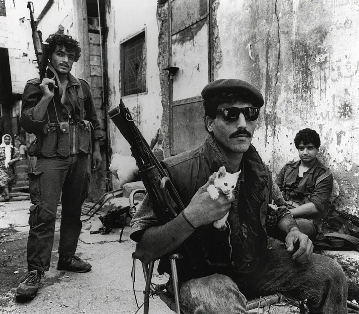 An Intimate History of Violence