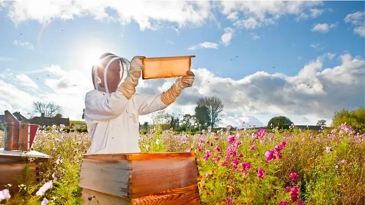 Following the Hive-to-Honey Trail Using Digital Traceability