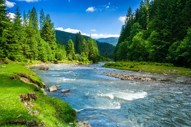Mountain stream and trees