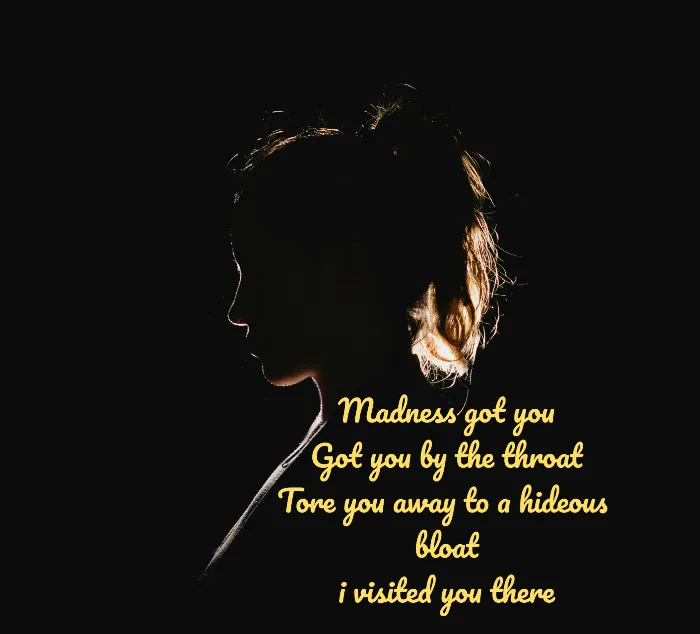 Silhouette of a girls head, bl background, poetry quote‘Madness got you’