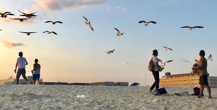 Flying With the Birds