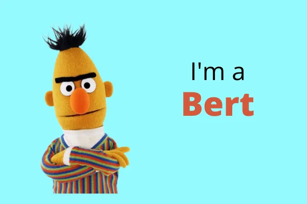 BERT: The Super Smart Human Robot