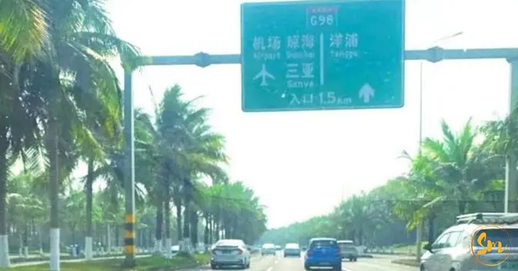 Road sign in Hainan, China on street with street lights and palm trees framing the scene