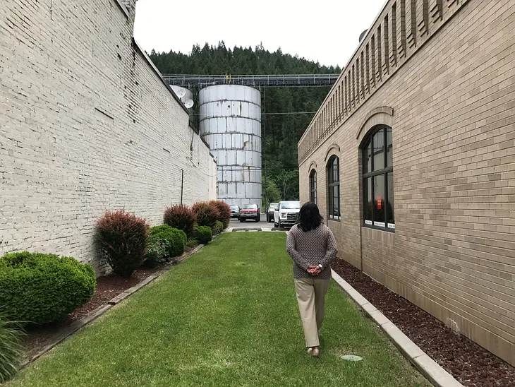 A person is walking on a grassy path between two buildings