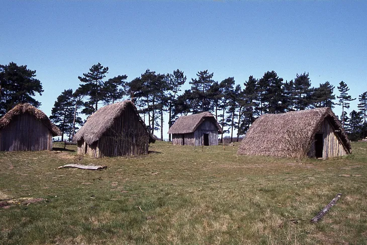Four thatched-roof wooden huts stand on a grassy field with scattered logs, set against a backdrop of pine trees under a clear blue sky.