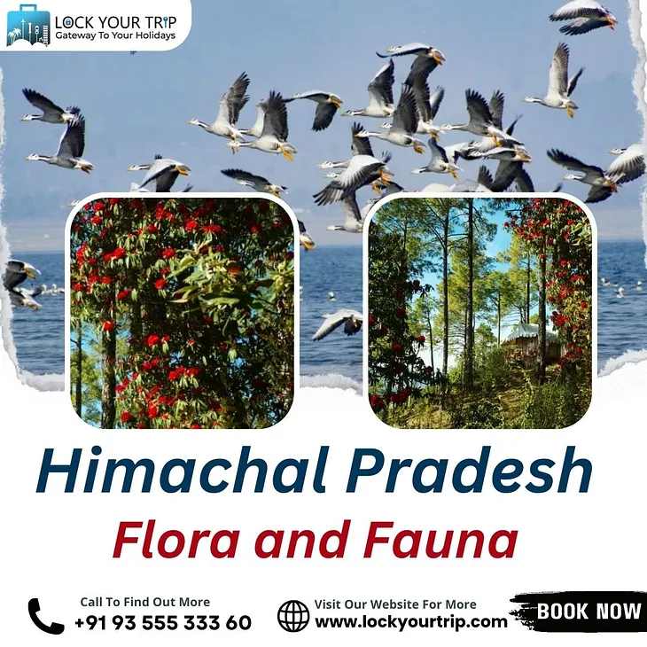 Exploring the Biodiversity of Himachal Pradesh Flora and Fauna